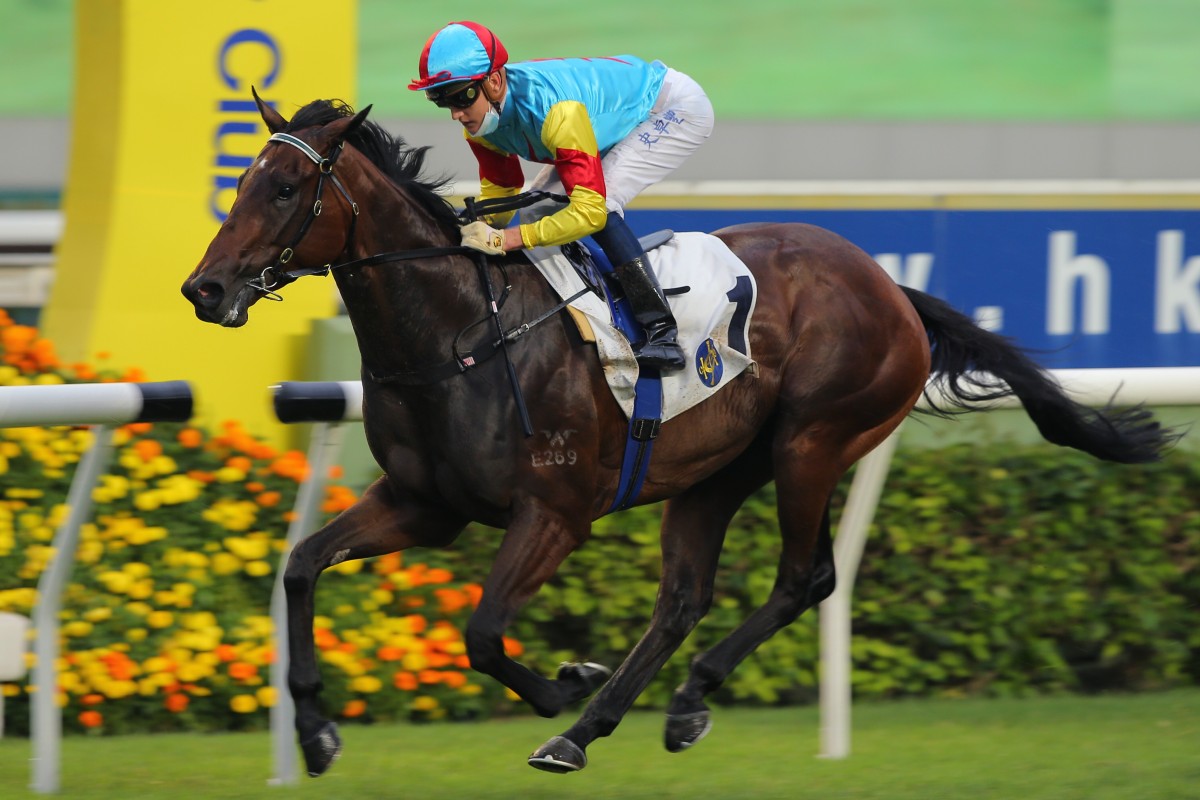 Chad Schofield makes it four from four aboard Fantastic Treasure earlier this month. Photo: Kenneth Chan