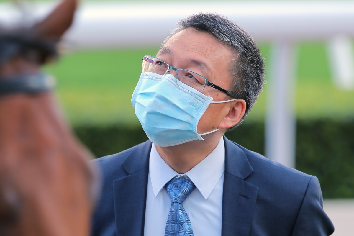 Trainer Francis Lui. Photos: Kenneth Chan