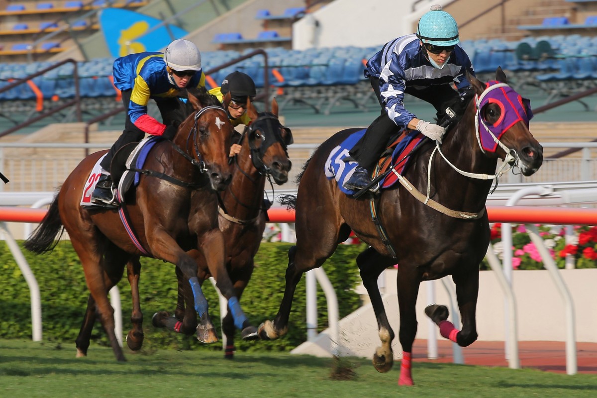 Matthew Chadwick guides Packing Waltham to victory in a recent barrier trial. Photos: Kenneth Chan