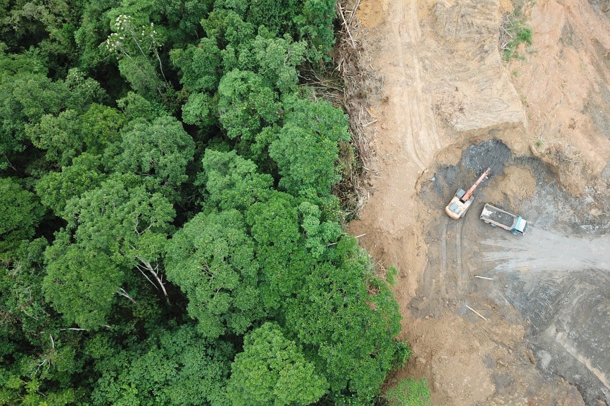 An area of the jungle in Borneo, Malaysia is destroyed to make way for palm oil plantations.