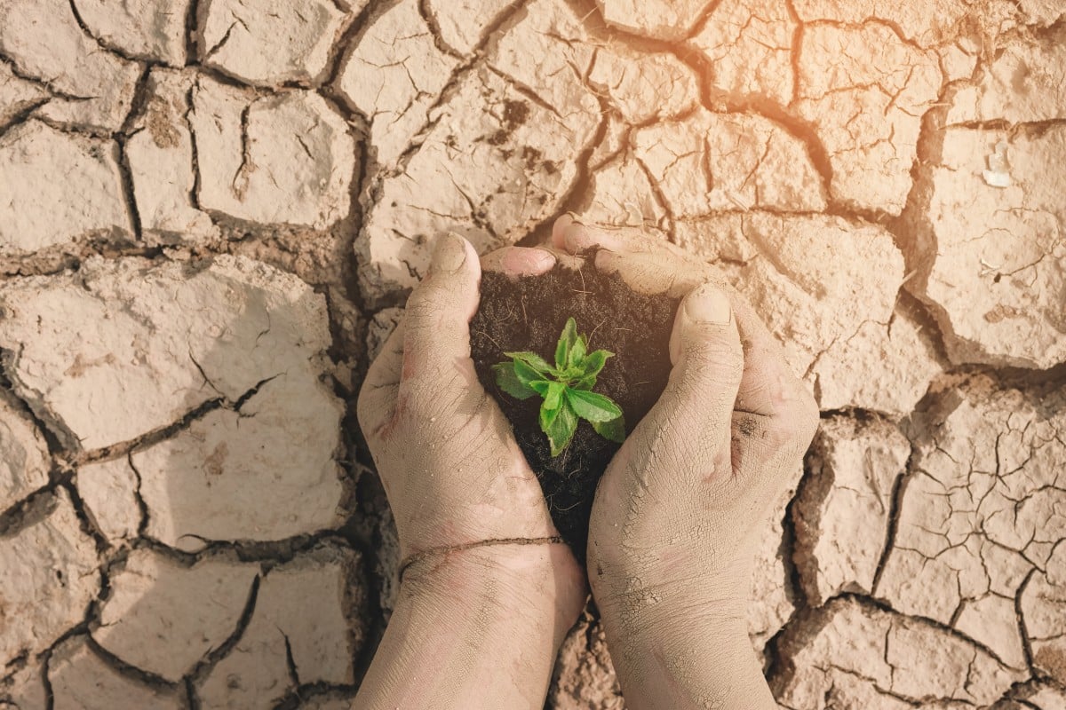 We know you might be dealing with climate anxiety, but there are still ways ro fight, or even reverse, some of the effects of climate change.