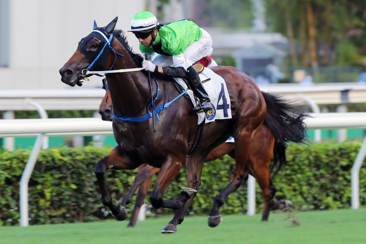 Joao Moreira pilots Killer Bee to victory at Sha Tin on Sunday. Photos: Kenneth Chan