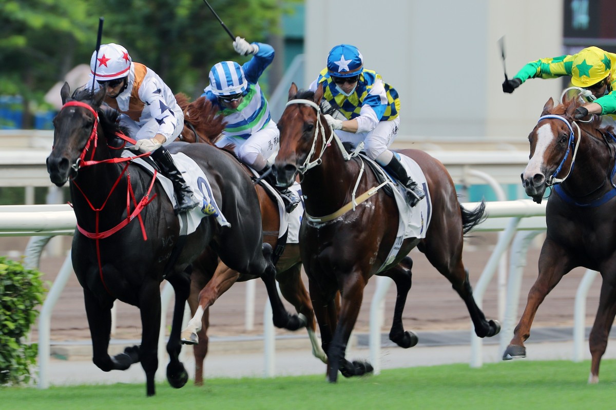 Joao Moreira guides Courier Wonder to victory in the Group Three Sha Tin Vase on Sunday. Photos: Kenneth Chan