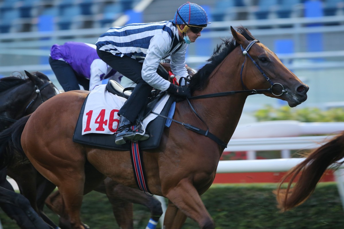 Chad Schofield rides Seasons Bliss in a barrier trial earlier this year. Photo: Kenneth Chan