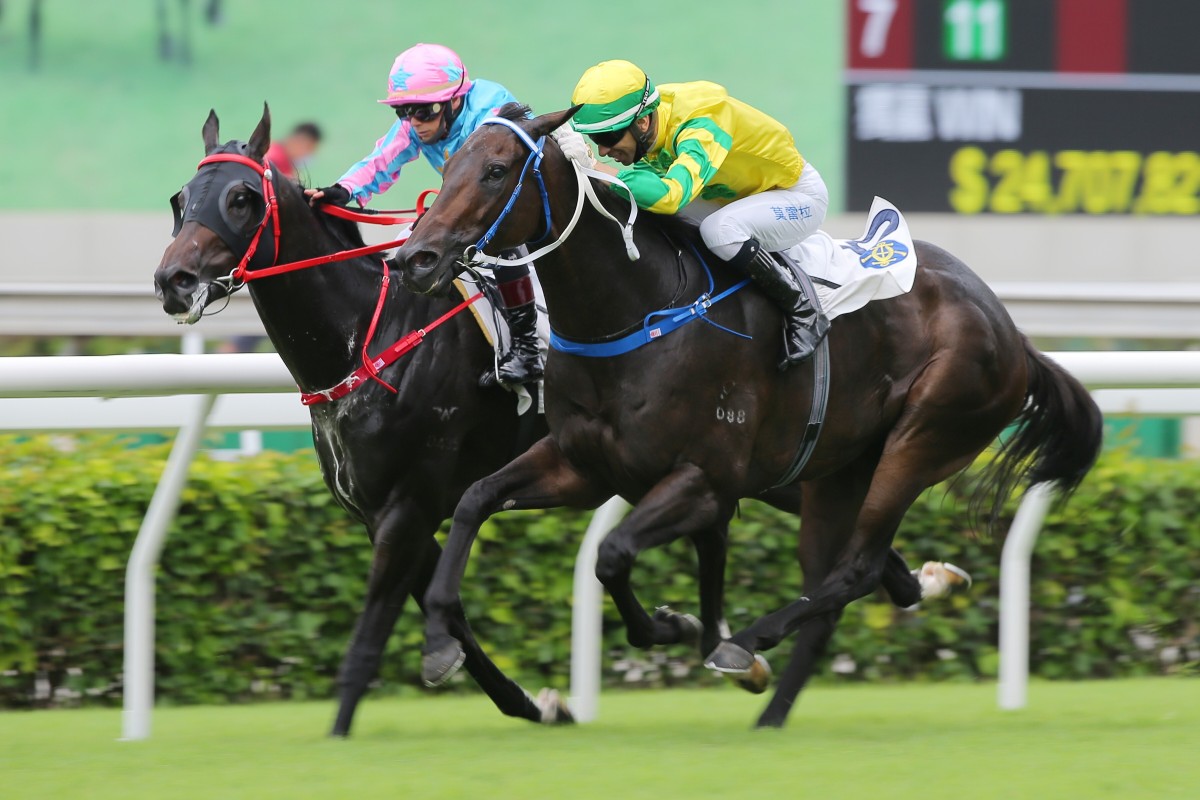 Sky Darci (outside) holds off Healthy Happy to win the Lion Rock Trophy. Photos: Kenneth Chan