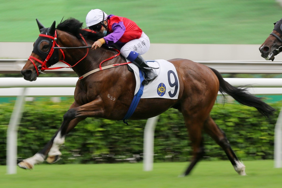 Matthew Poon drives Enzemble to victory at Sha Tin on Sunday. Photo: Kenneth Chan