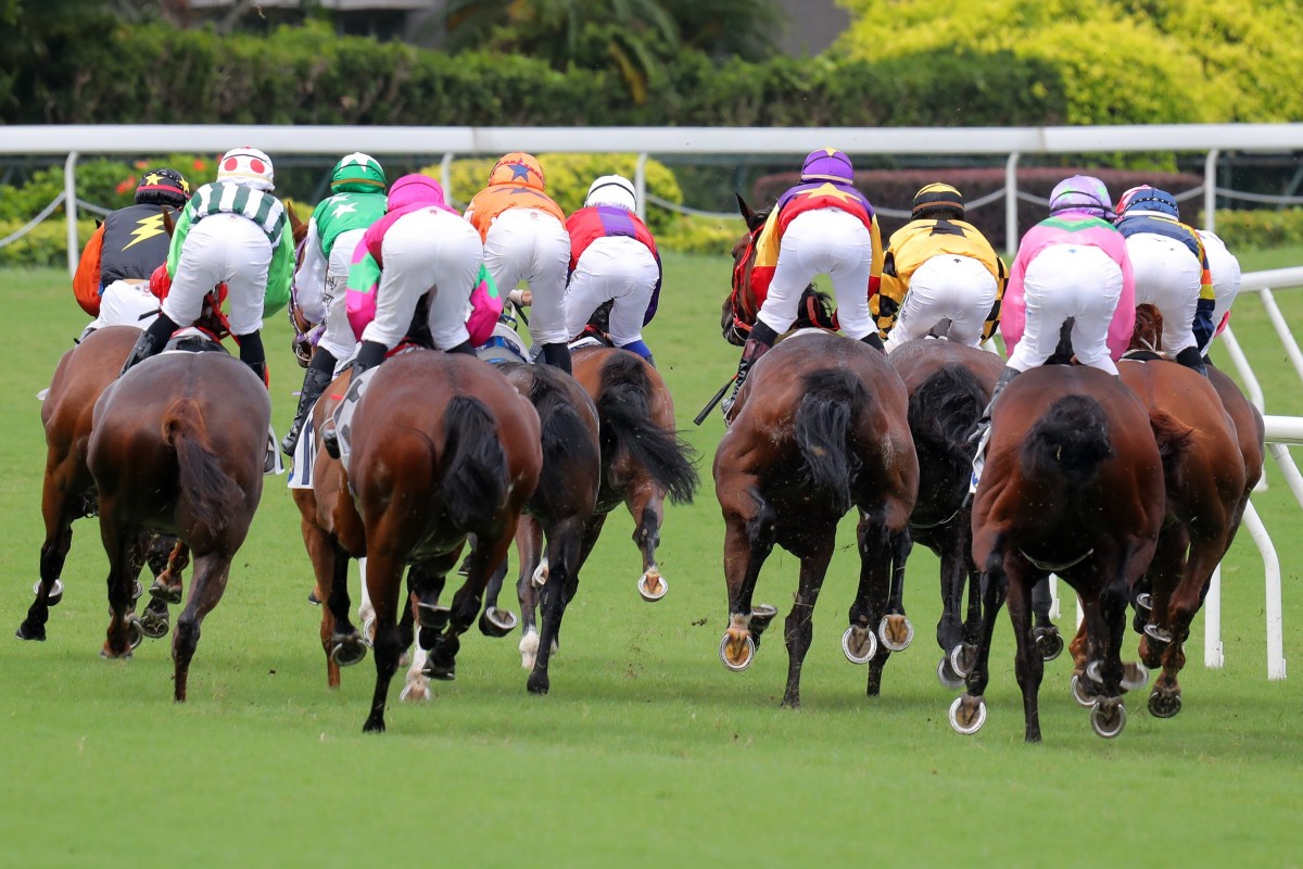 The field rushes to the first turn at Sha Tin on Sunday. Photos: Kenneth Chan