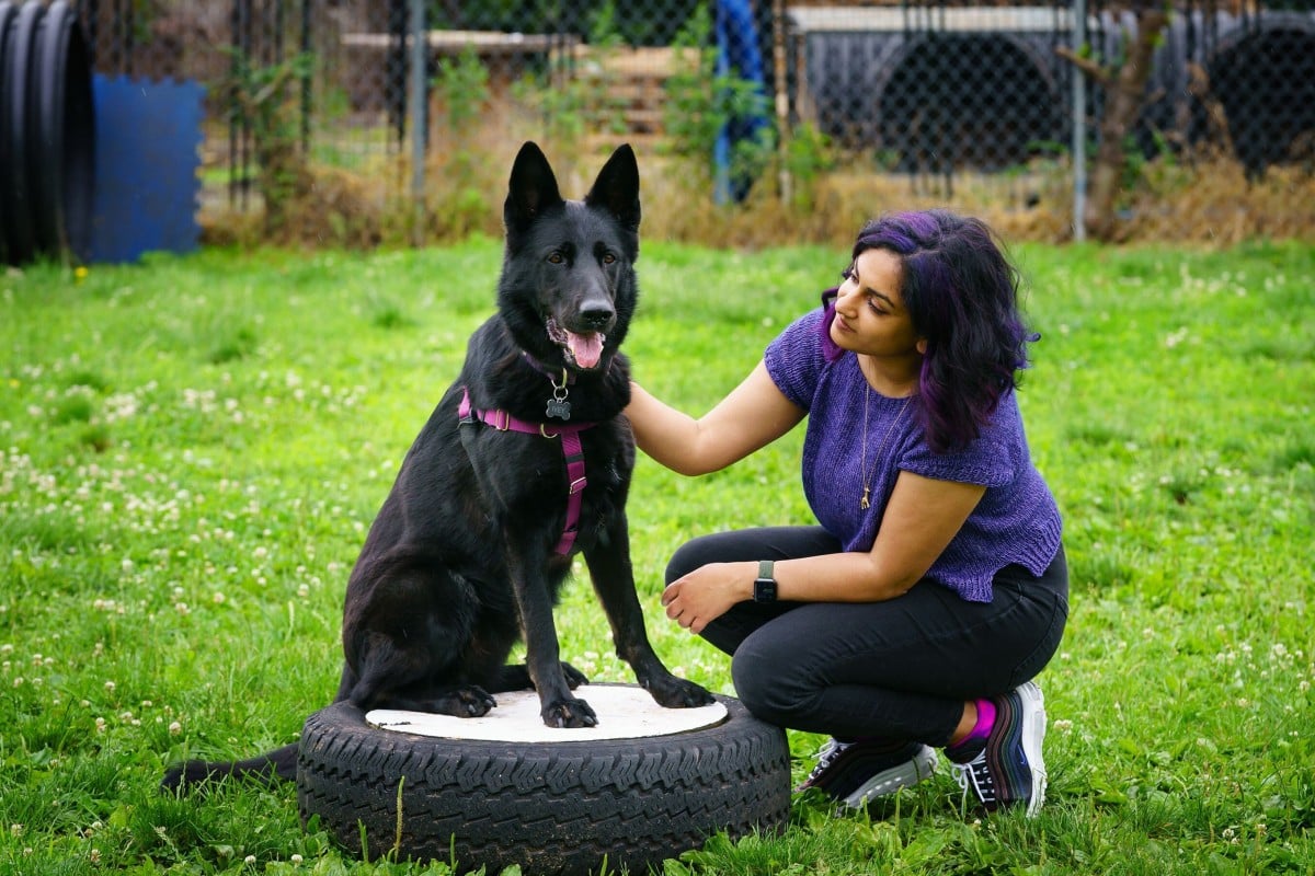 Amritha Mallikarjun, a cognitive scientist and postdoctoral research fellow at Penn Vet Working Dog Centre in Philadelphia, Pennsylvania, US, works with Ivey, a dog who can detect ovarian cancer. Photo: TNS