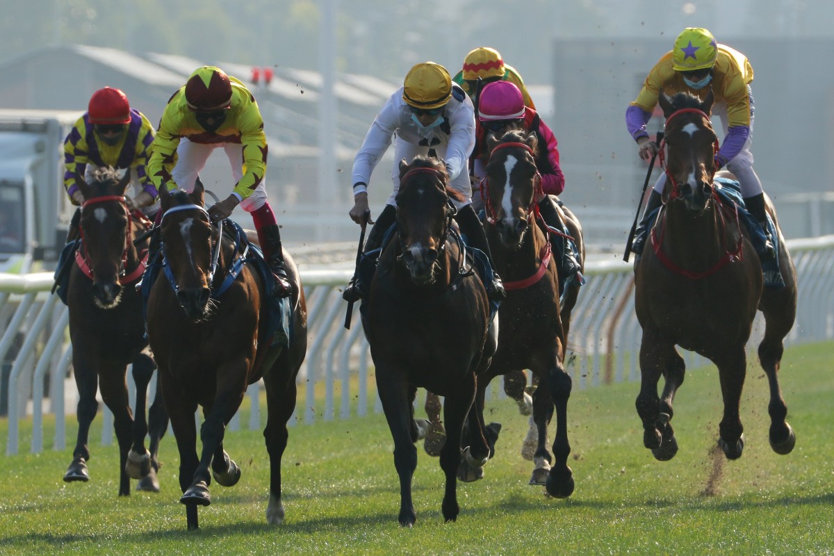 Golden Sixty (centre) wins the Stewards’ Cup. Photo: Kenneth Chan