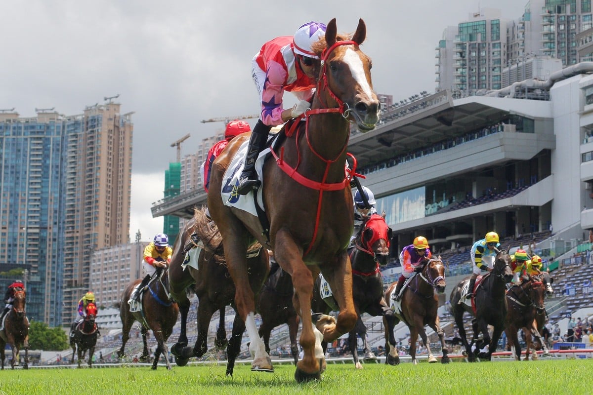 Drops Of God salutes at Sha Tin last month. Photo: Kenneth Chan