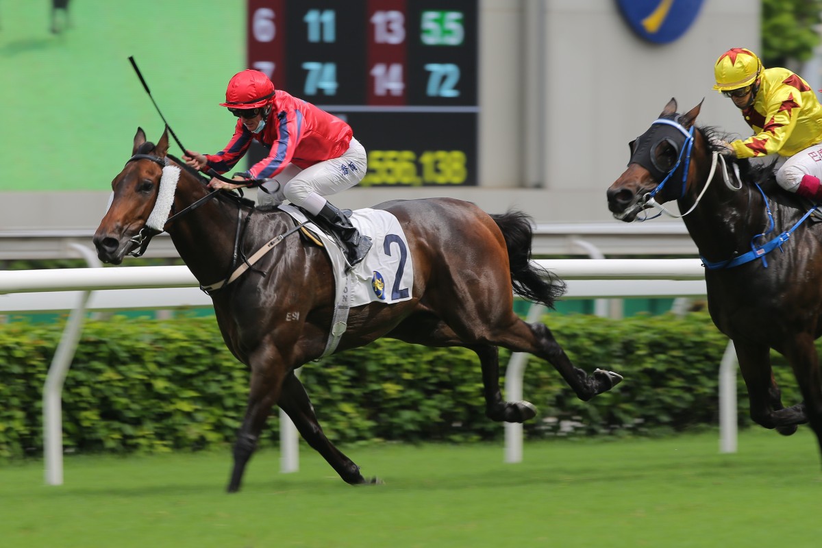 Victory Scholars hangs on to win at Sha Tin on Saturday. Photos: Kenneth Chan