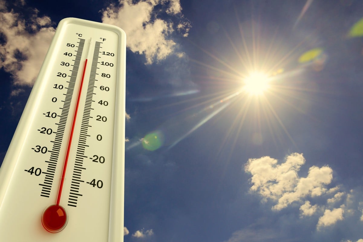 Look out for the signs of heat exhaustion and heat stroke - they can cause a lot of damage.