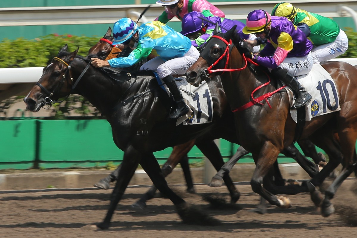 Joao Moreira boots Steel Win (blue silks) home at Sha Tin on Sunday. Photos: Kenneth Chan