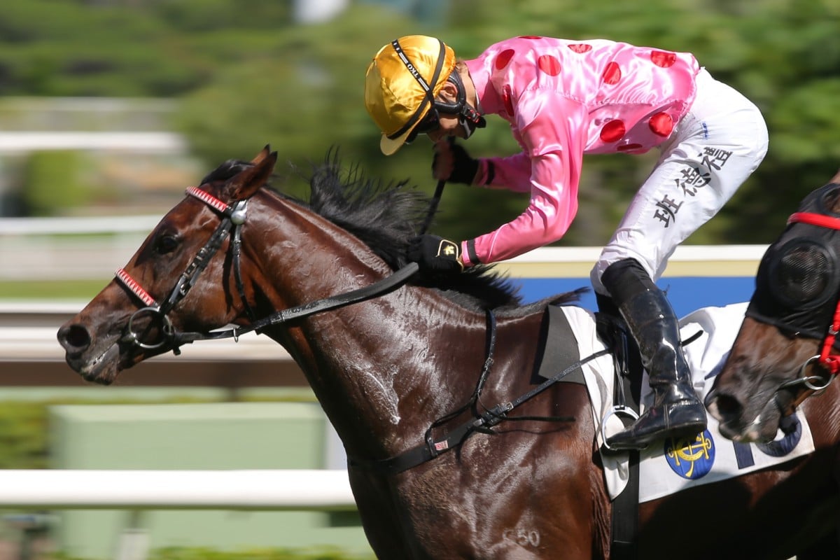 Harry Bentley pumps his fist as he wins aboard Preciousship at Sha Tin on Sunday. Photos: Kenneth Chan
