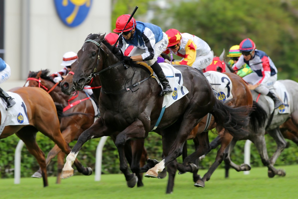 Vincent Ho lifts Naboo Attack to victory at Sha Tin in May. Photos: Kenneth Chan
