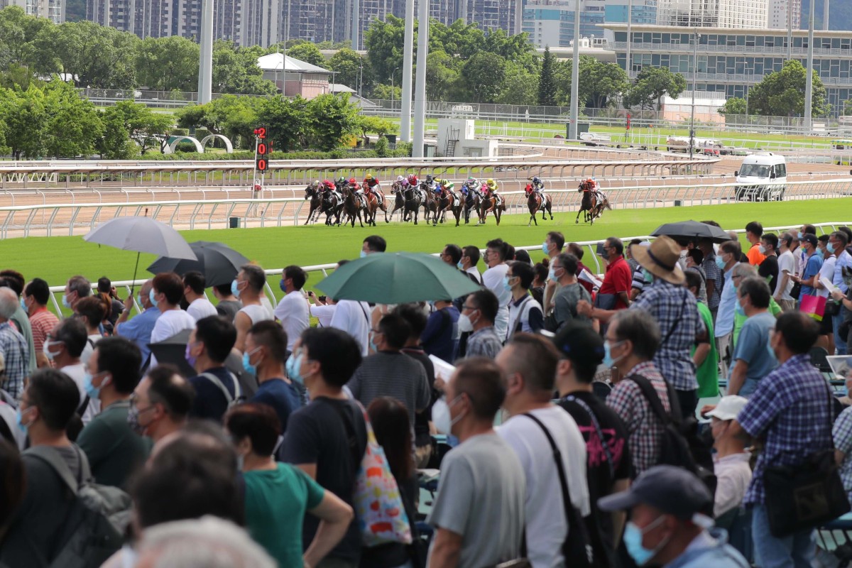 Punters watch on as the field for race five charges down the home straight at Sha Tin on Sunday. Photos: Kenneth Chan