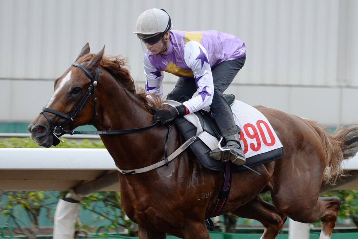 Blake Shinn pilots Lord Thunder home in a barrier trial earlier this month. Photos: Kenneth Chan