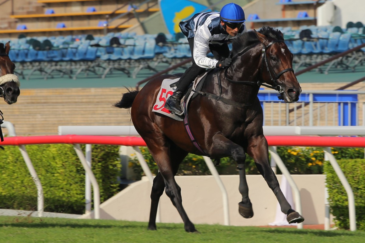 Panfield salutes in a trial at Sha Tin on Tuesday morning. Photos: Kenneth Chan