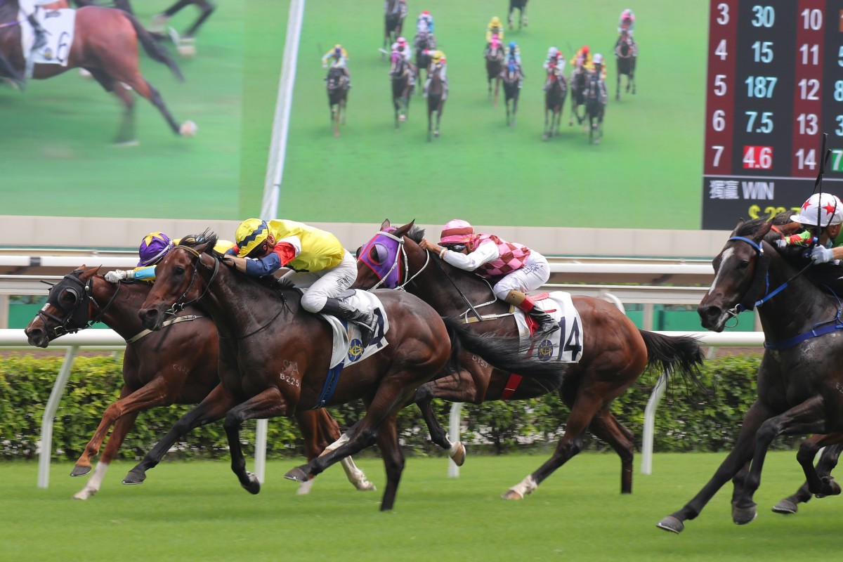 Horses fight out a finish at Sha Tin on September 12. Photos: Kenneth Chan