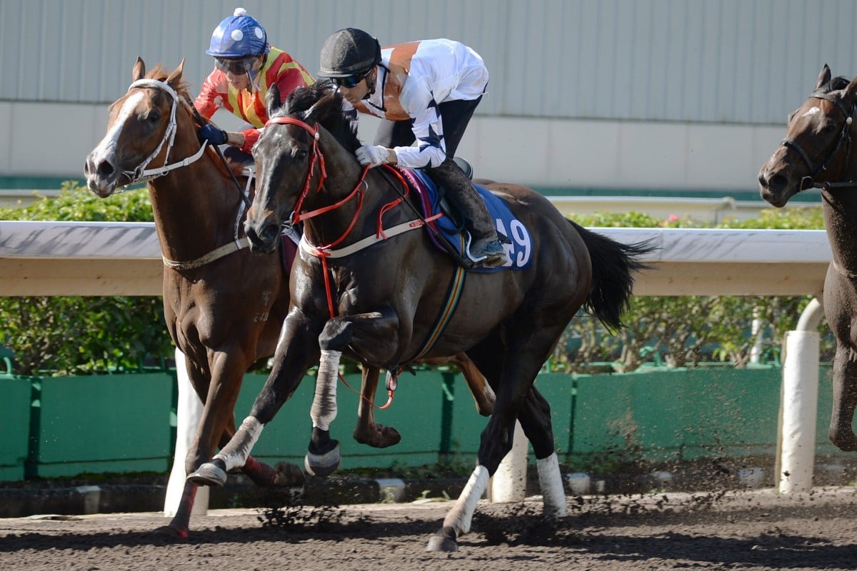 Courier Wonder wins a trial at Sha Tin on Tuesday morning. Photos: Kenneth Chan