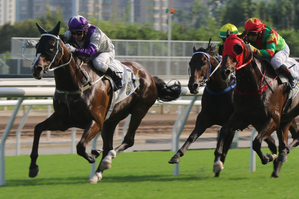 Matthew Chadwick drives Buddies to victory in the Group Three Celebration Cup at Sha Tin on Sunday. Photos: Kenneth Chan