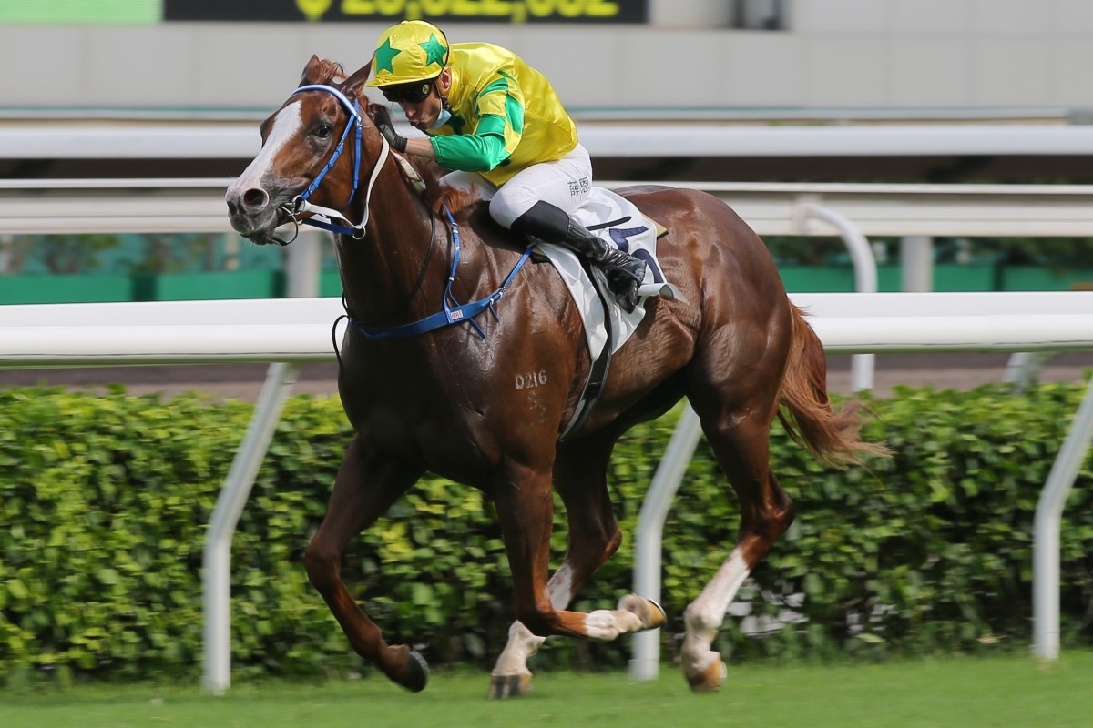 Blake Shinn boots Sky Field to victory in the Premier Cup in June. Photos: Kenneth Chan