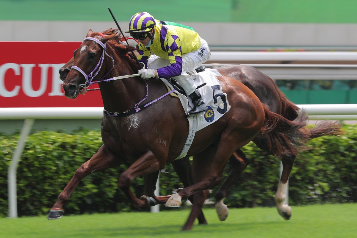 Good News salutes on debut at Sha Tin on Sunday. Photos: Kenneth Chan