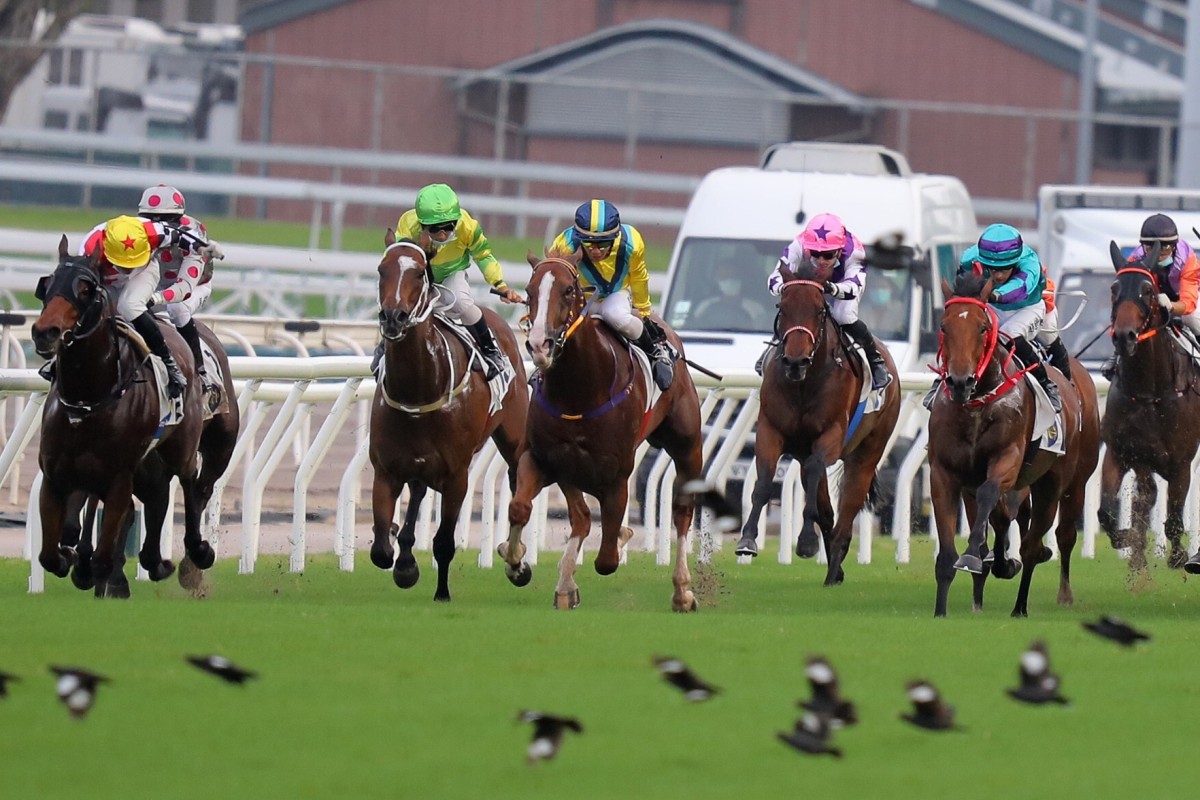 Horses race on a good track late on Sunday’s Sha Tin card. Photos: Kenneth Chan