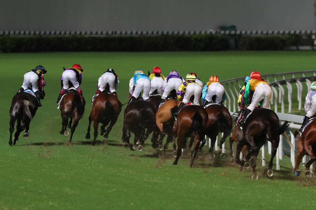 Horses race at Happy Valley. Photo: Kenneth Chan