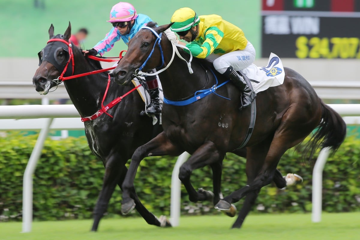 Sky Darci (outside) wins the Lion Rock Trophy in May. Photo: Kenneth Chan