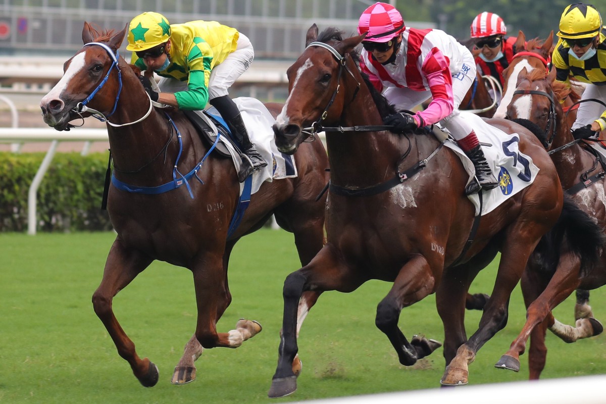 Sky Field (left) finishes second to Super Wealthy earlier this month. Photo: Kenneth Chan