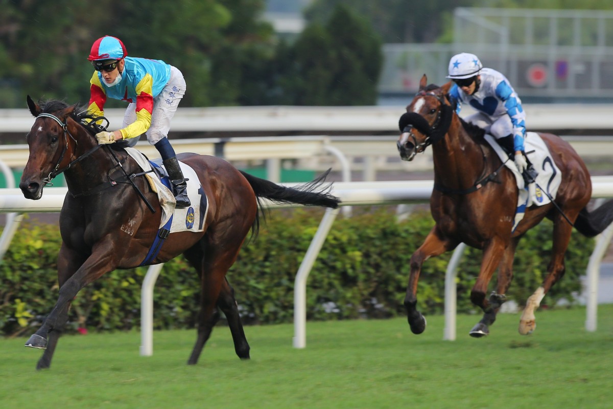 Fantastic Treasure streaks to victory during his flawless debut season. Photo: Kenneth Chan