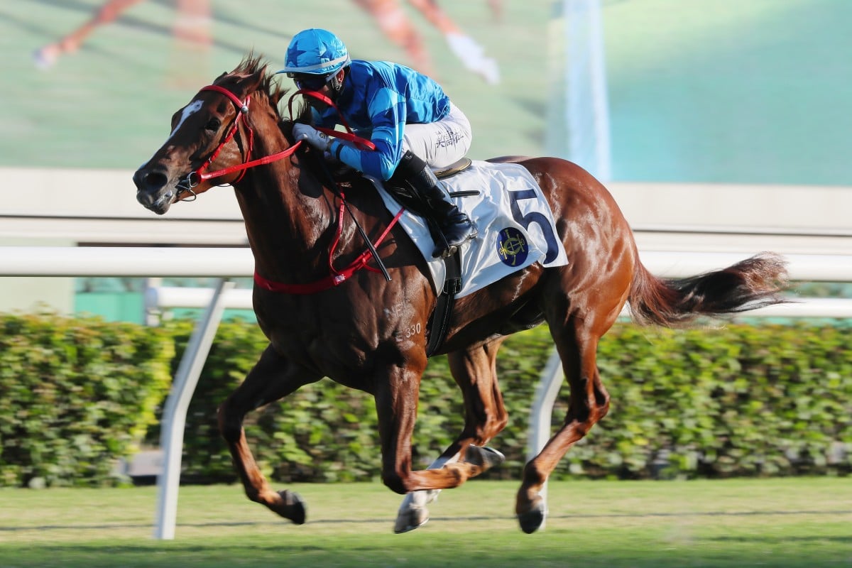 Joao Moreira partners Master Eight to victory at Sha Tin on Sunday. Photos: Kenneth Chan