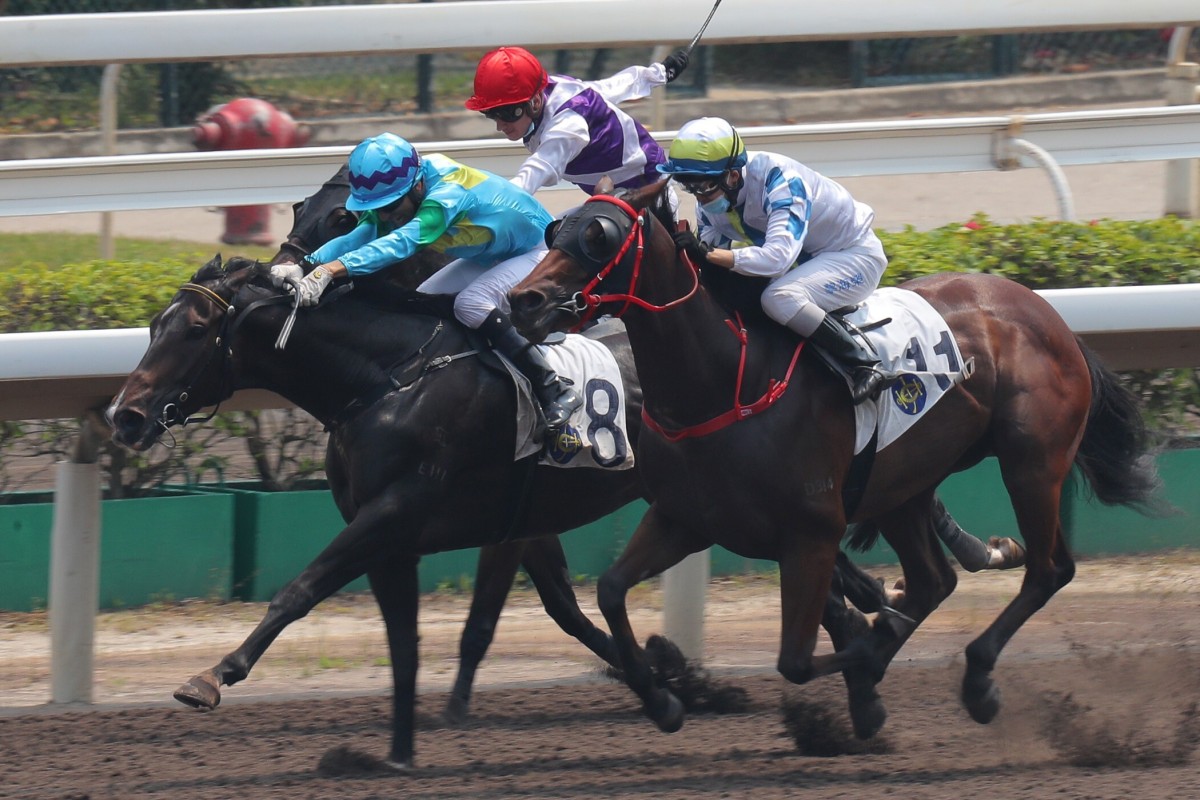Joao Moreira drives Steel Win (left) to victory in September. Photos: Kenneth Chan