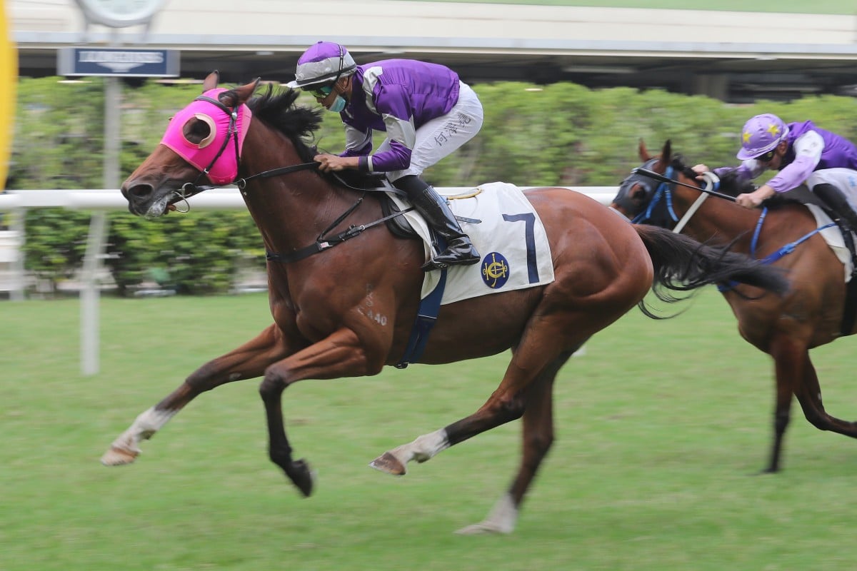 The Francis Lui-trained Seaweed Fortune salutes under Vincent Ho at Happy Valley on Sunday. Photo: Kenneth Chan