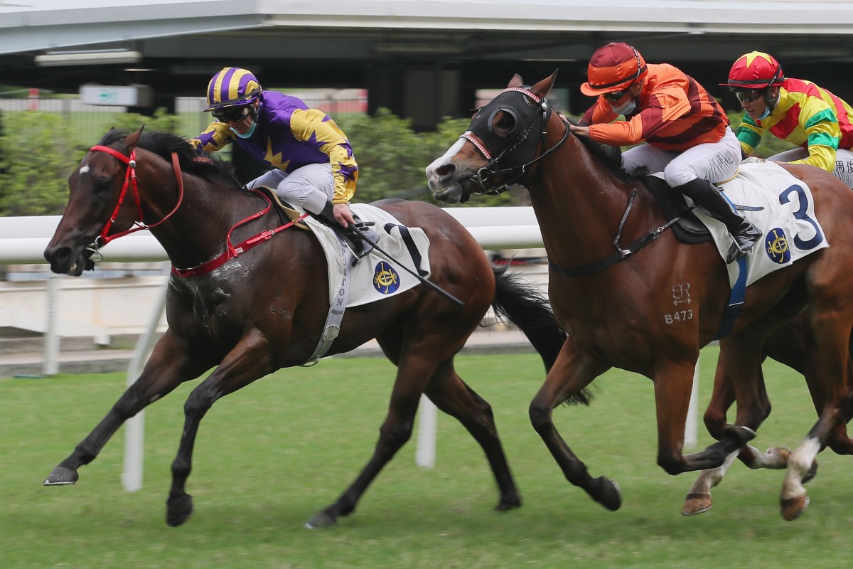 Zac Purton lifts Lightning Storm to victory at Happy Valley on Sunday. Photos: Kenneth Chan