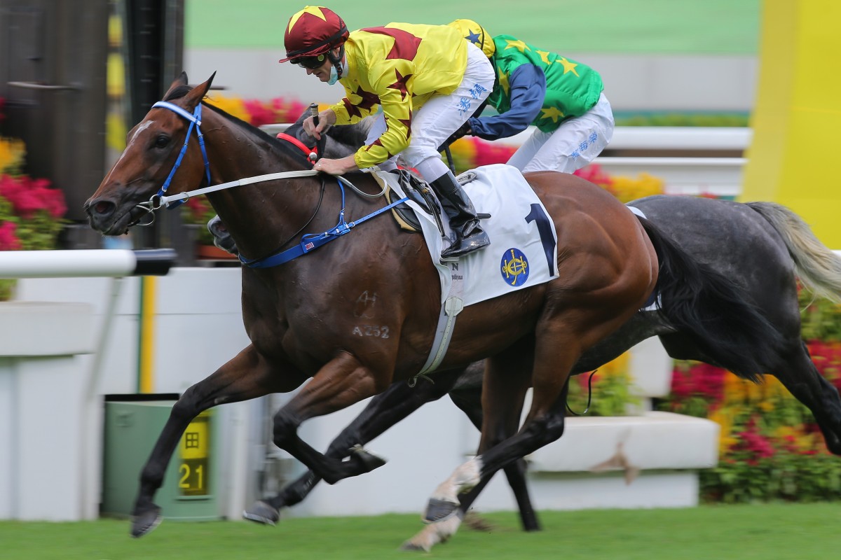 Southern Legend wins the Group Three Premier Plate at Sha Tin in June. Photos: Kenneth Chan