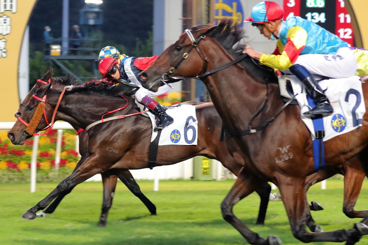 Fantastic Treasure (right) launches at Trillion Win late in his first-up run. Photos: Kenneth Chan