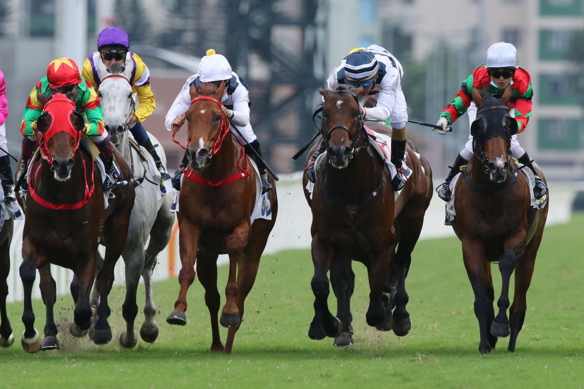 Panfield (blue and white cap) wins the Sha Tin Trophy last month. Photos: Kenneth Chan