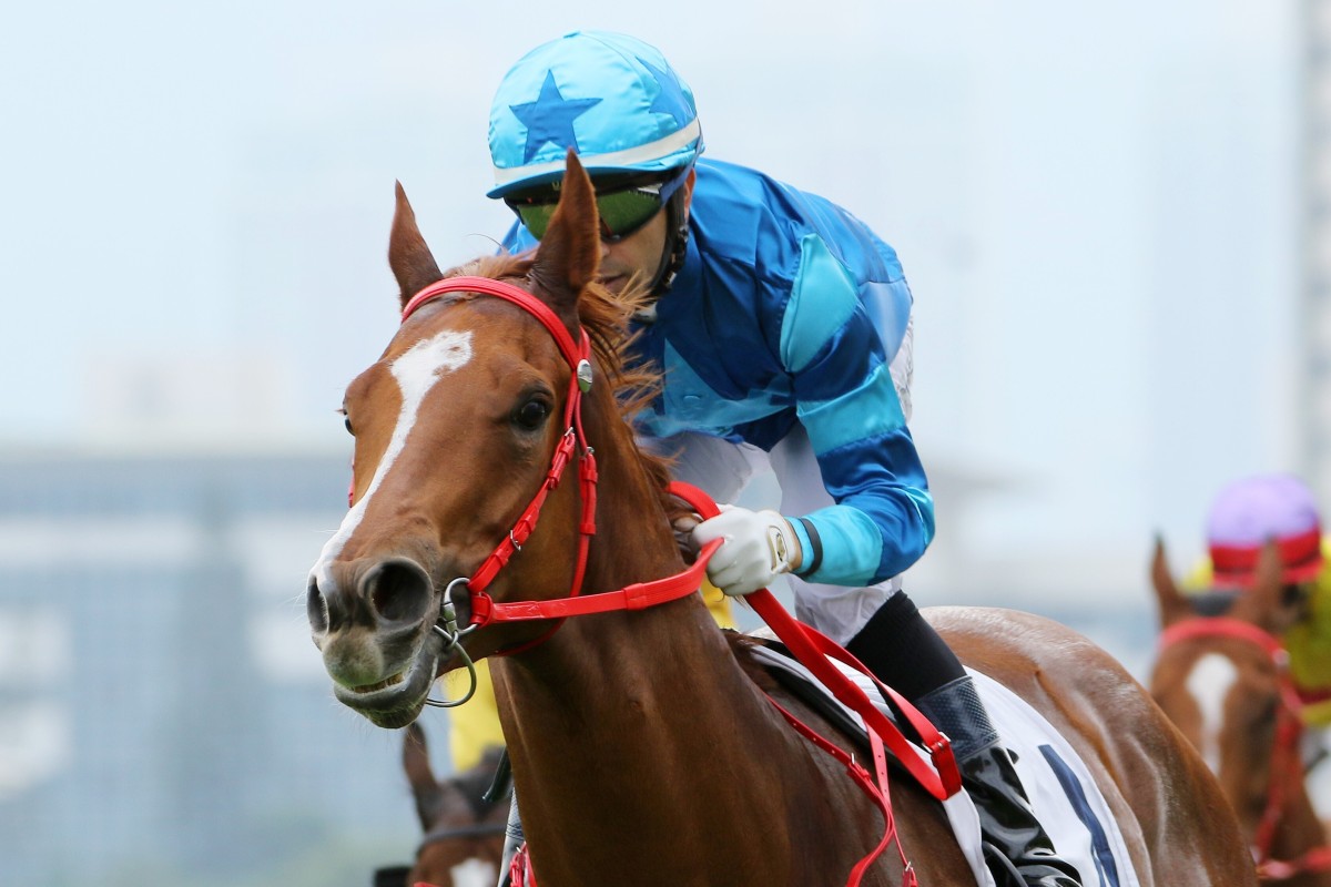 Joao Moreira and Master Eight salute. Photos: Kenneth Chan