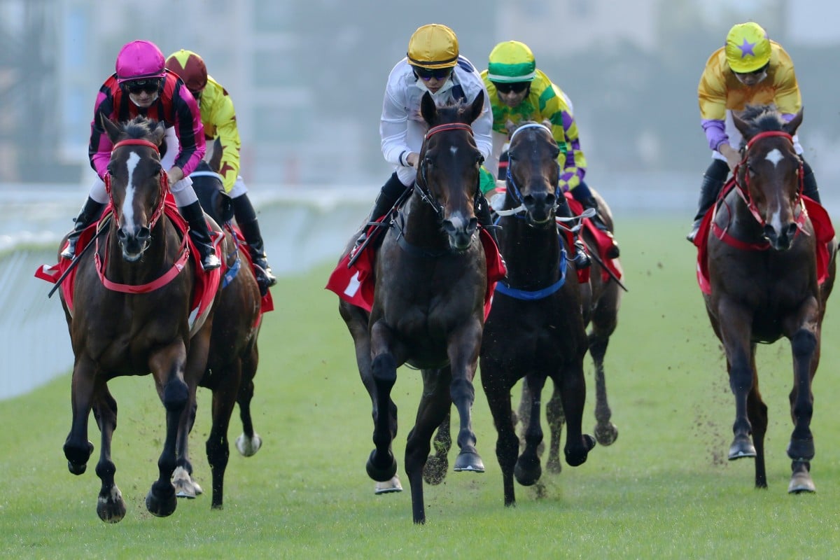 Vincent Ho guides Golden Sixty (white silks) to victory in the Group Two Jockey Club Mile at Sha Tin on Sunday. Photos: Kenneth Chan