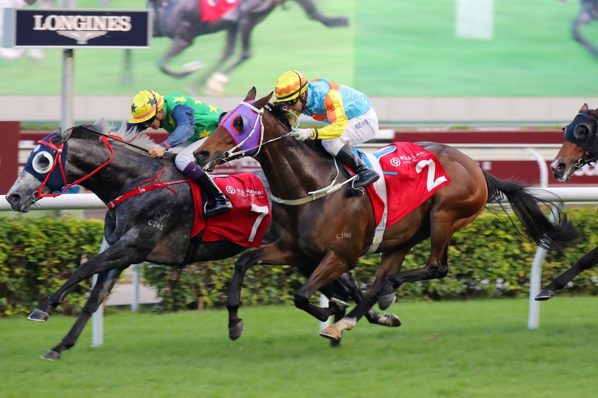 Reliable Team (left) holds out Ka Ying Star to win the Jockey Club Cup. Photo: Kenneth Chan