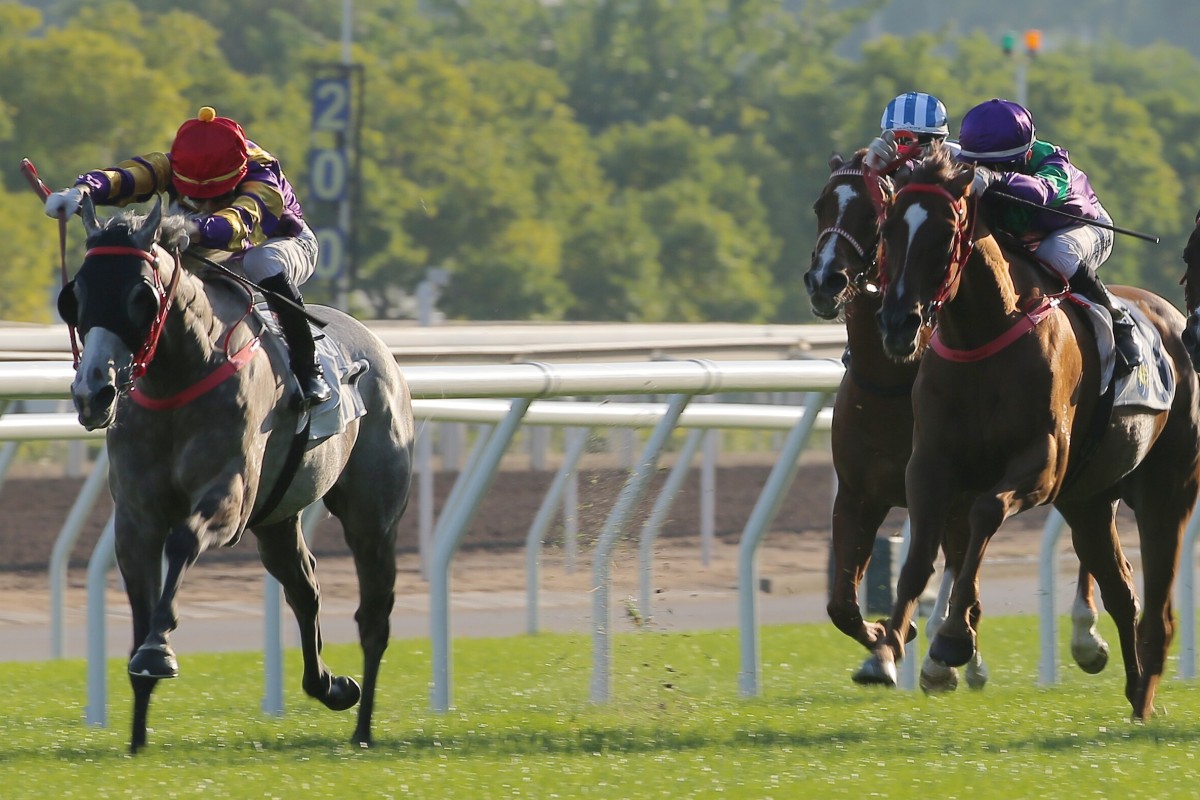 Vagner Borges drives Silver Express to victory in the Class One Chevalier Cup at Sha Tin on Sunday. Photos: Kenneth Chan