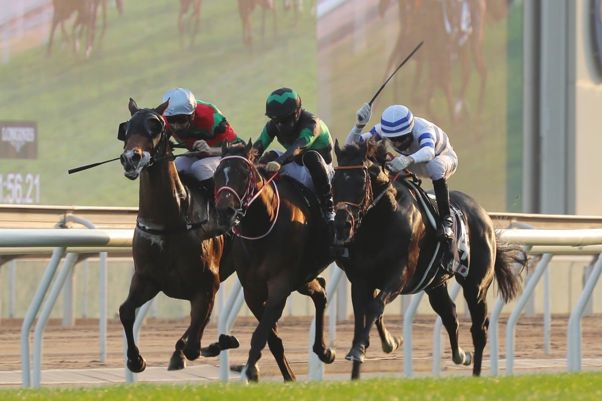 Russian Emperor (left), Loves Only You and Hishi Iguazu (right) run to the line in the Hong Kong Cup. Photo: Kenneth Chan