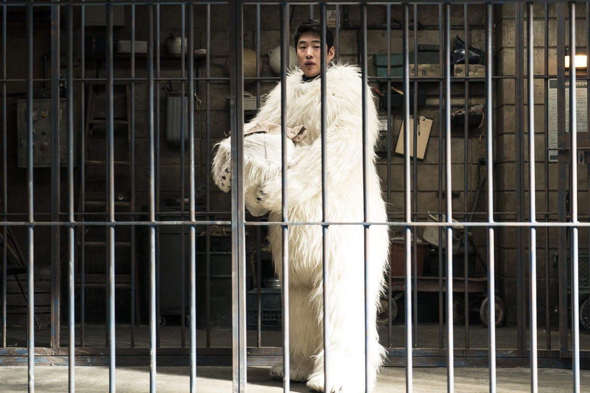 Ahn Jae-hong plays the law firm assistant-turned-Cola-swigging polar bear