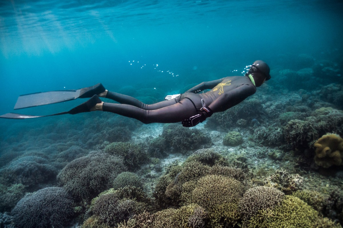 Freediving teaches discipline, but with the added benefit of amazing underwater views.