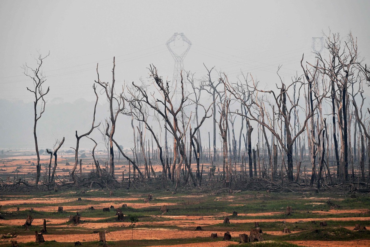 View of burnt areas of the Amazon rainforest, near Porto Velho, Rondonia state, Brazil.