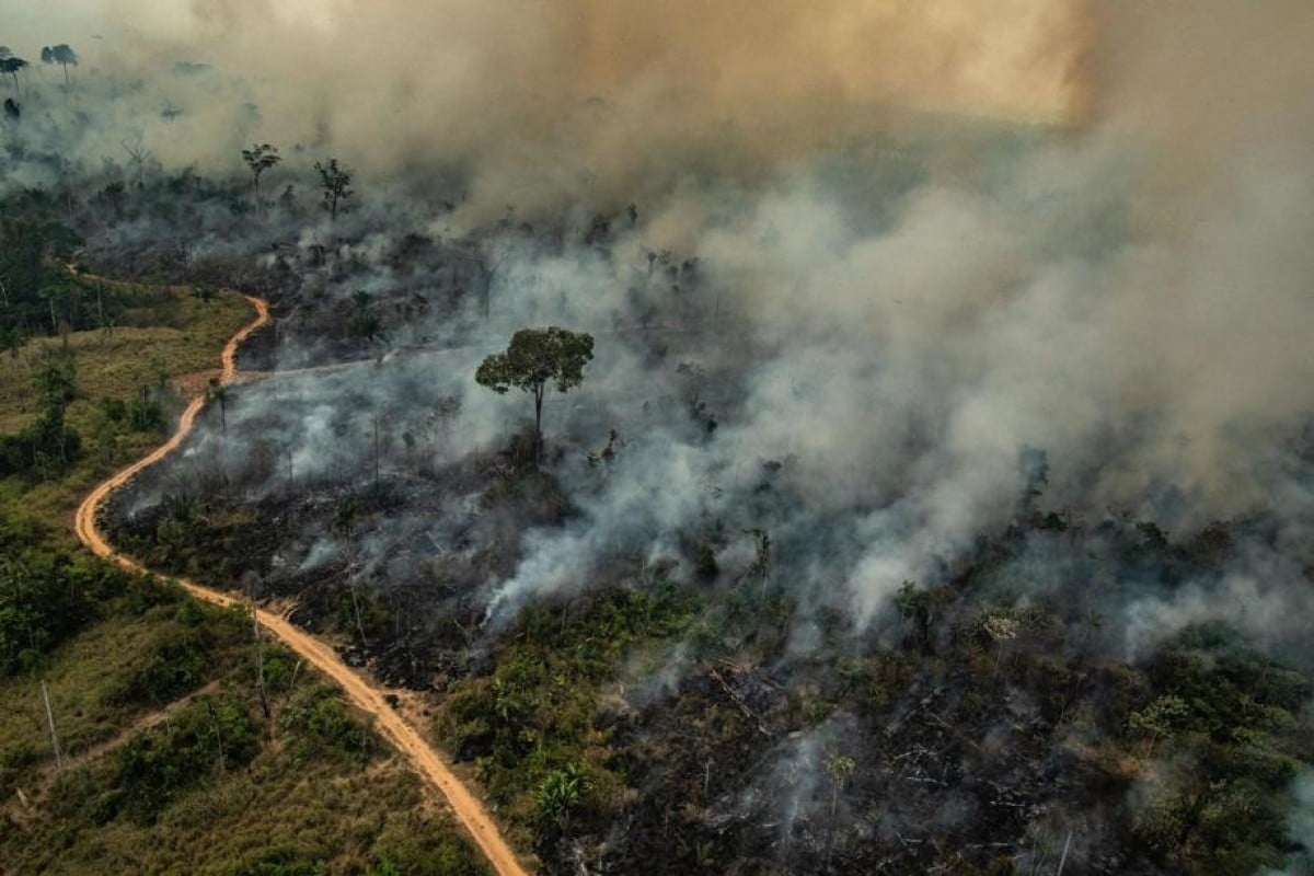 The destruction of the Amazon rainforest has a devastating impact on the rest of the planet and increases the effects of global warming.