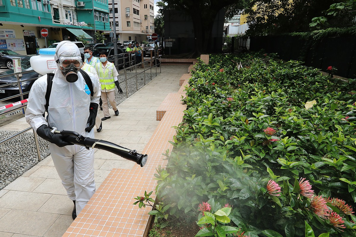 These four cases are the first local cases of dengue fever this year.