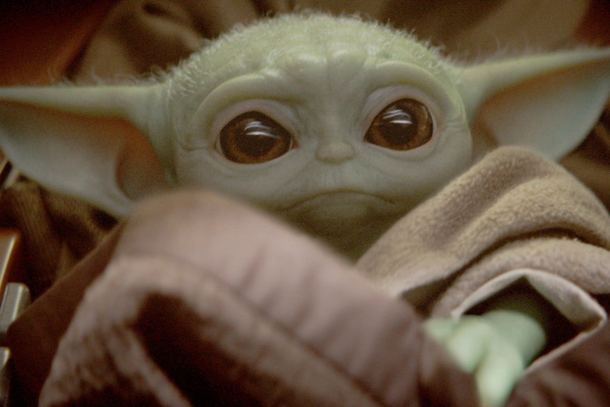 5 cute Star Wars creatures: Baby Yoda, Ewoks, BB-8 and more - YP